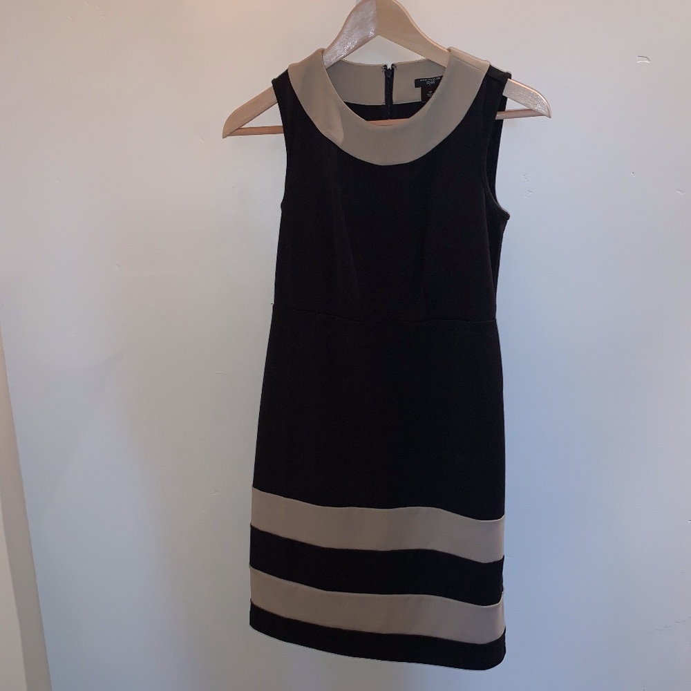 Ann Taylor Dress